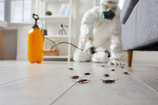Commercial Kitchen Cockroach Control in Martin